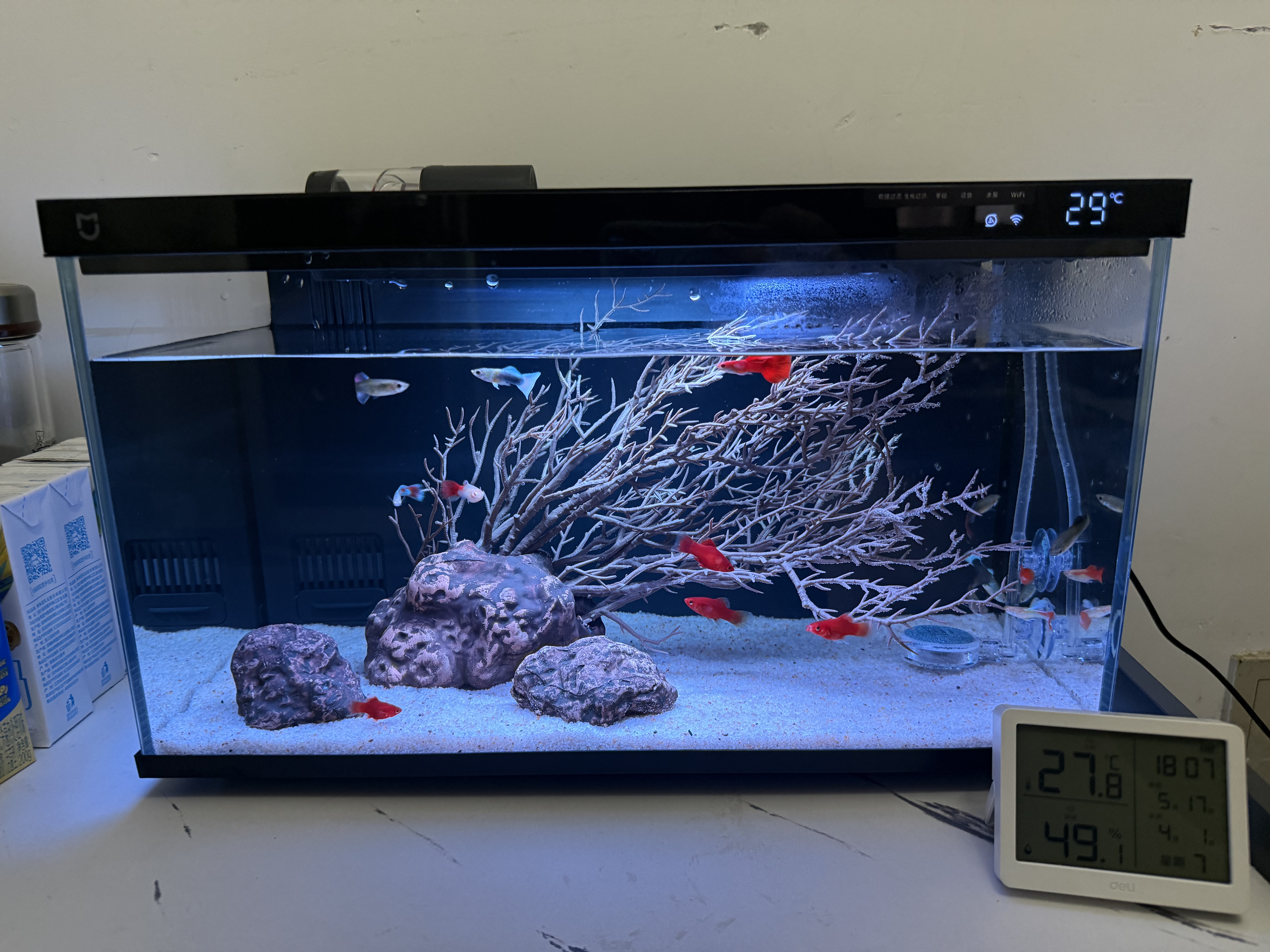 画法几何南美风枯木鱼缸造景套餐 米家智能鱼缸专用仿真枯木丛林  实拍图