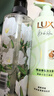 力士（LUX）【田曦薇同款】小苍兰蓬松去屑洗发水470g+沐浴露550g+100x2 实拍图