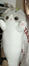 捉趣（ZHUOQU）猫咪抱枕毛绒玩具长条玩偶冰丝睡觉抱枕六一儿童节女朋友生日礼物 灰色【冰丝面料独立内胆】 全长约90cm 实拍图