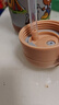 富光儿童保温杯壶学生水杯316不锈钢双饮吸管杯子男女便携大容量560ML 实拍图
