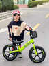 五羊儿童平衡车无脚踏自行车滑行滑步车1-2-3-6岁宝宝学步滑行车 正品五羊【车把座椅可调节】 14寸充气轮【仙踪绿】送专车大礼包+打气筒+防护装备 实拍图