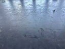 华咖全钢OA网络防静电地板 写字楼配电室机房 架空活动地板厂家直供 一平方含配件 500*500*28mm 晒单实拍图