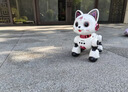 索迪六一礼物AI智能机器人遥控汽车机器狗猫婴幼儿童宝宝玩具女孩生日 实拍图
