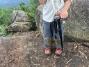 神火（SupFire）户外防身登山杖铝合金T型柄4节超轻徒步健走爬山棍拐杖儿童手杖 实拍图