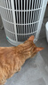 美的家用宠物空气净化器 吸猫毛除过敏源猫猫搭子猫毛净化器杀菌消毒除猫狗异味 卫健委备案 小怪兽PET500【宠物专享】 实拍图