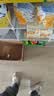 六品堂兼毫毛笔大号书法毛笔专业级湖笔楷书成人初学国画书法练字专用斗笔精品高档软笔 翰雪香梅 大号 实拍图