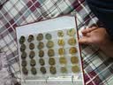 2022年虎年纪念币 生肖虎贺岁币 10元面值 第二轮 章 虎年生肖纪念币1个 实拍图