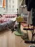 ZEZE铃兰盆栽猫抓板立式猫爬架麻绳猫抓柱解闷猫薄荷不掉屑磨爪猫玩具 实拍图