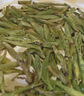 京东京造×狮峰牌 鲜来多26新茶明前特级西湖龙井 50g 绿茶自己喝送礼礼盒 实拍图