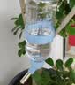 hoopet狗狗喝水器挂式水壶水瓶水嘴喂水神器小狗猫咪宠物用品悬挂式不湿 圆形宠物饮水器946ml(蓝） 实拍图
