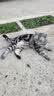 艾尔猫粮成猫幼年猫粮 【5斤】深海鱼3包+牛肉鲑鱼2包 实拍图