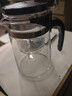 飘逸壶泡茶壶耐热高温玻璃沏茶过滤内胆冲茶器家用茶具套装 飘逸杯500mL1个 实拍图
