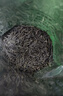 匠界茶叶绿茶信阳原产毛尖茶雨前新茶正宗嫩芽浓香型袋装500g自己喝 实拍图