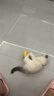 欢宠网猫玩具猫咪逗猫棒猫薄荷球不倒翁自嗨神器自己玩解闷猫猫小猫幼猫 实拍图