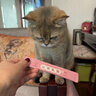 尾巴生活主食猫条全价鲜骨肉 12g*8条 猫咪零食营养多口味混合装成猫幼猫 实拍图