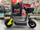 九号（Ninebot）【新国标电自新品】九号电动Fz1 60电动自行车9号智能电动车【门店自提】 到门店选颜色 实拍图