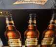 百威黑金啤酒600ml*12瓶整箱装拉格焦香醇厚京东自营踏春送礼 实拍图