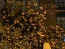 纪梵希（Givenchy）棒棒糖唇蜜N210灰粉蔷薇色显色口红化妆品 七夕情人节礼物 实拍图