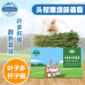 洁西 烘干紫花苜蓿草 兔子牧草干草饲料兔粮龙猫荷兰猪豚鼠零食500g 实拍图