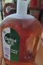 滴露（Dettol）消毒液衣物除菌液洗衣消毒水1.8L*1 衣物混洗杀菌除螨 非84酒精 实拍图
