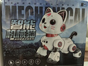 索迪六一礼物AI智能机器人遥控汽车机器狗猫婴幼儿童宝宝玩具女孩生日 实拍图