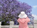 蕉下（beneunder）遮阳帽防晒帽女大帽檐渔夫帽子男登山帽太阳帽子防紫外BM507 实拍图