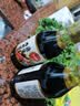 凤球唛刺身酱油200ml 寿司生鱼片三文鱼海鲜汁蘸料调味汁 实拍图