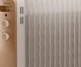 美的（Midea）【金缕衣】家用电热油汀取暖器立式电暖器 13片电暖气 全屋升温取暖神器/节能加湿烘衣NY2213-18GW 实拍图