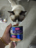 麦富迪 猫罐头 宠物猫咪零食猫湿粮罐头 吞拿鱼鸡肉味 170g*12 实拍图
