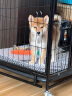 珑小宠宠物尿垫狗狗尿片厕所猫咪训导尿布防漏垫子 狗狗加厚生理隔尿垫 试用装型号随机 45*60cm M码 7片 实拍图