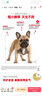 皇家狗粮 斗牛犬成犬狗粮 犬粮 宠物中型犬 FBA26 全价犬粮 ≥12月3KG 实拍图