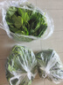 沃绣 【当天发货】新鲜桑叶 现摘大小蚕嫩桑叶新鲜大桑叶养蚕宝宝食物 新鲜桑叶200克【买二送一】 实拍图