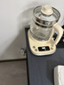 小熊（Bear）养生壶 1.5L煮茶壶烧水壶 可拆卸茶篮 煮茶器电水壶 恒温电热水壶 保温花茶壶 YSH-E15W7  实拍图
