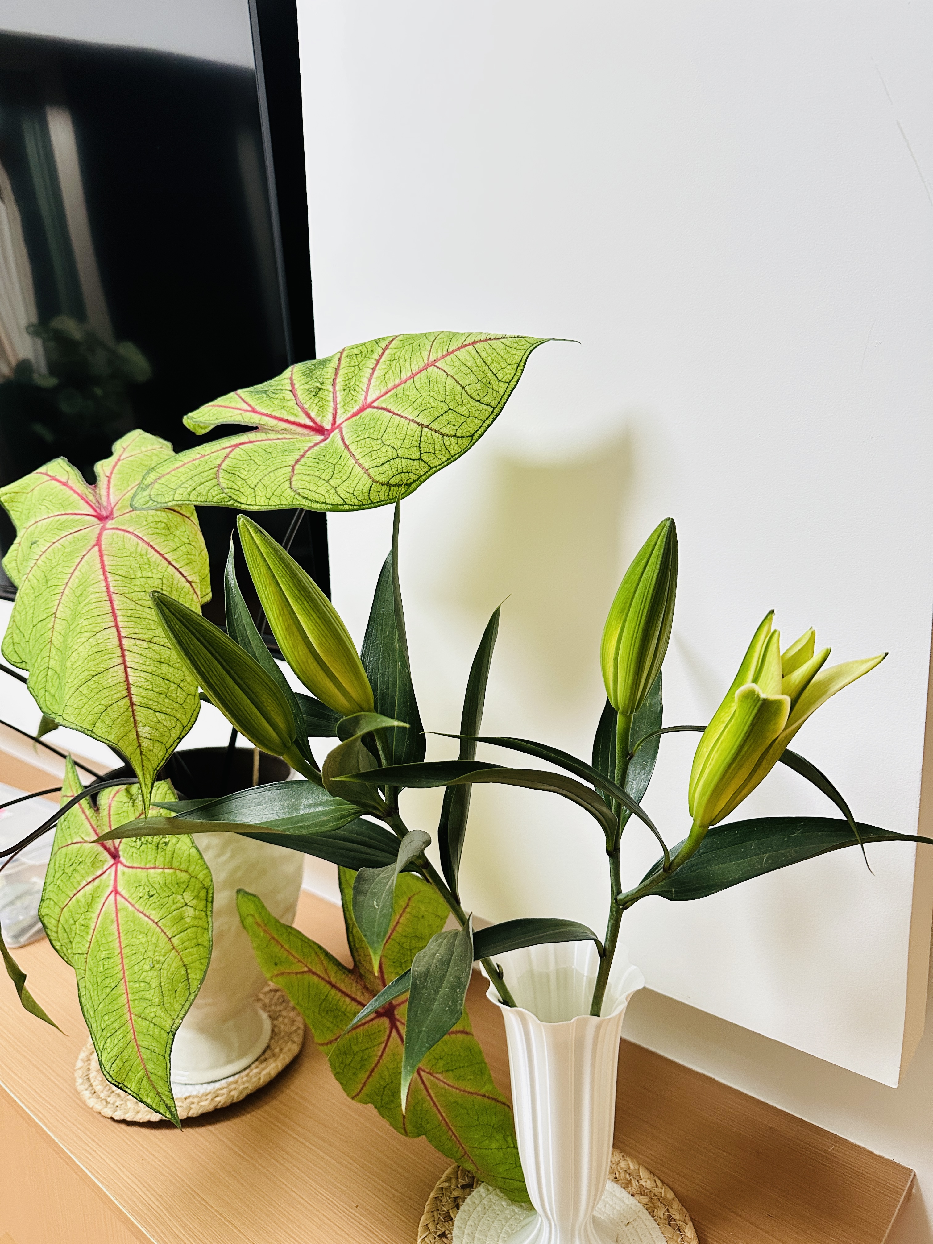 AB级香水百合花鲜花云南产地直发玫瑰康乃馨向日葵插花花束10 高品质【AB级随机色】百合花6朵+保鲜剂 实拍图