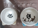 憨憨乐园猫碗陶瓷猫粮双碗斜口狗碗狗盆狗粮宠物幼猫咪吃饭食盆喝水喂食 实拍图