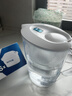 碧然德（BRITA） 家用滤水壶 净水壶滤芯 Maxtra 多效滤芯 6枚装 实拍图