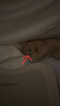 红狗【升级PRO】乳铁蛋白营养膏75g 猫咪乳铁蛋白猫咪宠物狗狗幼犬 实拍图