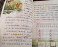 2026斗半匠课堂笔记四年级下册英语人教版黄冈学霸笔记随堂笔记同步教材全解小学生课前预习课后复习辅导书 实拍图