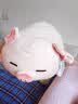 名创优品（MINISO）小猪B-BO弹力超柔趴姿公仔毛绒玩具玩偶抱枕靠枕生日61儿童节礼物 实拍图
