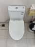 九牧（JOMOO）11173-2-1/31KD-3大力神家用马桶虹吸抗菌节水洁具305坑距 实拍图