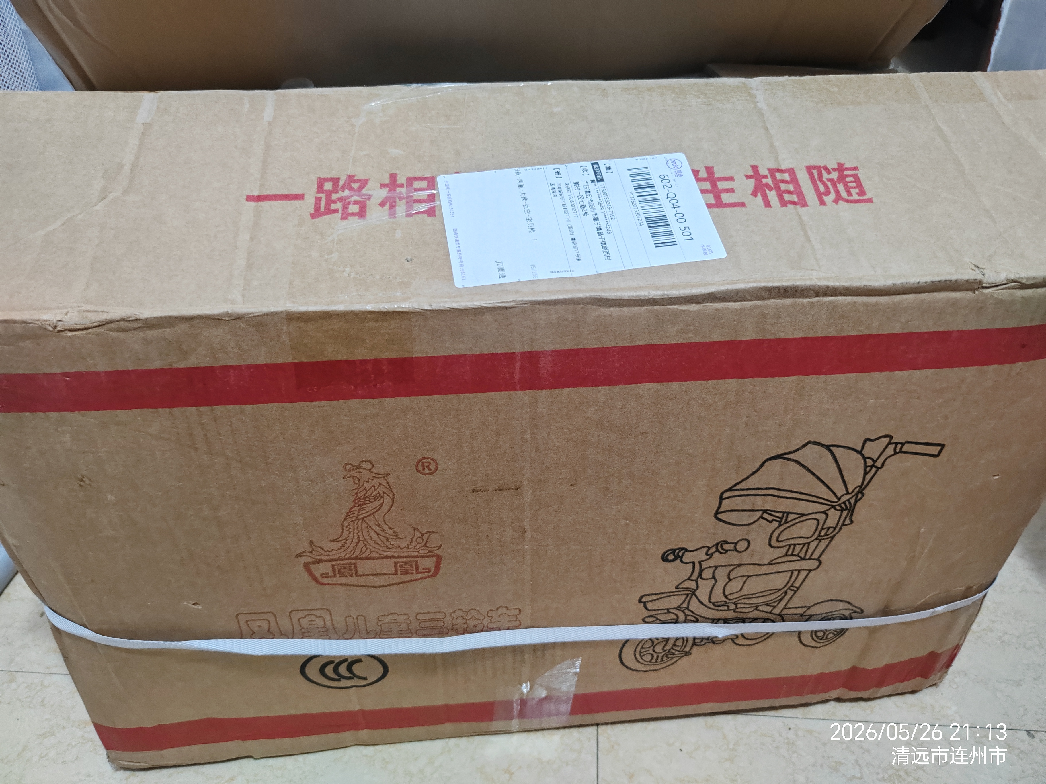 凤凰儿童三轮车遛娃神器1-3-6岁2大号婴儿手推车宝宝脚踏车自行车 宝贝熊车棚-大推手 钛空轮 实拍图