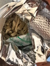 修年堂 玉竹片150g/罐 精选新鲜玉竹切片干 玉竹切片罐装煲汤冲泡茶饮 实拍图