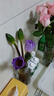 吕姆克花瓶玻璃花瓶摆件工艺品插花仿真干花富贵竹水养花瓶中号透明5043 实拍图