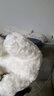 京东京造ai毛绒玩具儿童玩具智能对话AI陪伴机器人六一儿童节礼物朝阳狗 实拍图