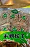 松灵手剥巴西松子500g 大颗粒开口松子仁坚果零食阿富汗当季特产 实拍图