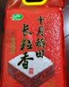 十月稻田 长粒香大米 5斤（东北大米 香米 2.5kg/公斤 小包装） 实拍图