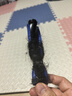 海尔扫地机器人T30擦地拖地扫拖一体洗地机吸尘器【LDS激光导航 自动集尘 全链除菌】水箱版 实拍图