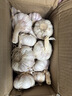 【百万单爆品】紫白皮蒜水果大蒜超市生鲜蔬菜调料即食蒜 【优选】净重0.9斤单果3.5-5cm 实拍图