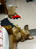 维克（Virbac）耳漂滴耳液狗狗猫咪预防耳螨止痒耳朵清洁宠物洗耳液 125ml 实拍图