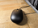戴尔（DELL）MS116鼠标有商务办公经典对称有线鼠标USB接口即插即用鼠标（黑色） 实拍图